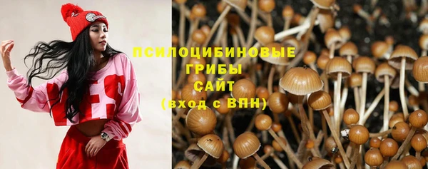 сатива Михайловск