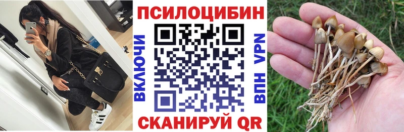 mega рабочий сайт  Ярцево  Псилоцибиновые грибы Psilocybe 
