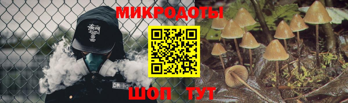 закладка  Вход с VPN  Ярцево  Псилоцибиновые грибы GOLDEN TEACHER 